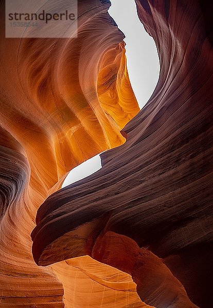 Bunte Sandsteinformation  einfallendes Licht  Lower Antelope Canyon  Slot Canyon  Page  Arizona  USA  Nordamerika