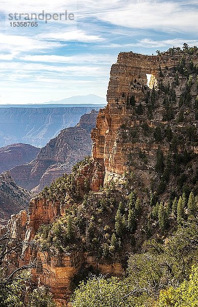 Felsformation Angels Window  Cape Royal  North Rim  Grand Canyon National Park  Arizona  USA  Nordamerika