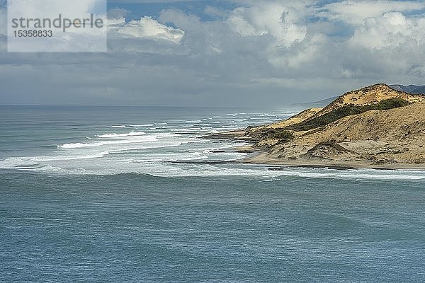 Pazifikküste  Landzunge mit Dünen bei Opononi  Far North District  Northland  Nordinsel  Neuseeland  Ozeanien