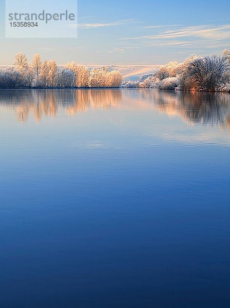 Flusslandschaft im Winter an der Saale  Bäume mit Frost und Schnee am Ufer im Morgenlicht  Wasserspiegelung  Naturpark Unteres Saaletal  Sachsen-Anhalt  Deutschland  Europa