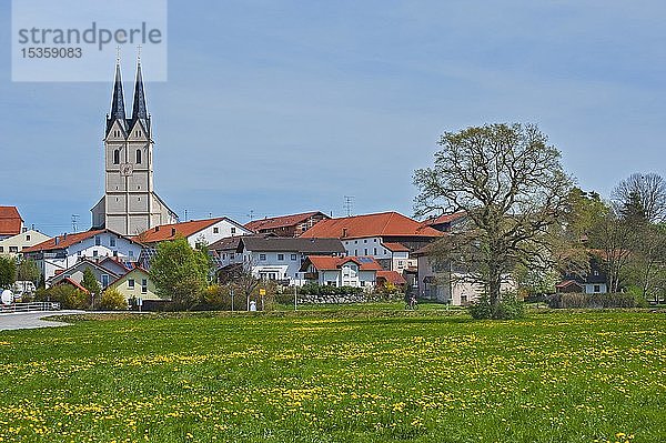 Frühlingswiese vor der Wallfahrtskirche St. Mariä Himmelfahrt in Tuntenhausen  Oberbayern  Bayern  Deutschland  Europa