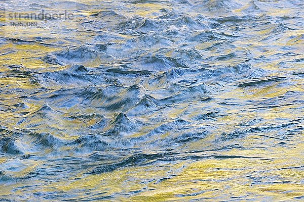 Goldenes Licht reflektiert im Wasser  Wellen im Gebirgsbach So?a  in der Nähe von Bovec  Slowenien  Europa
