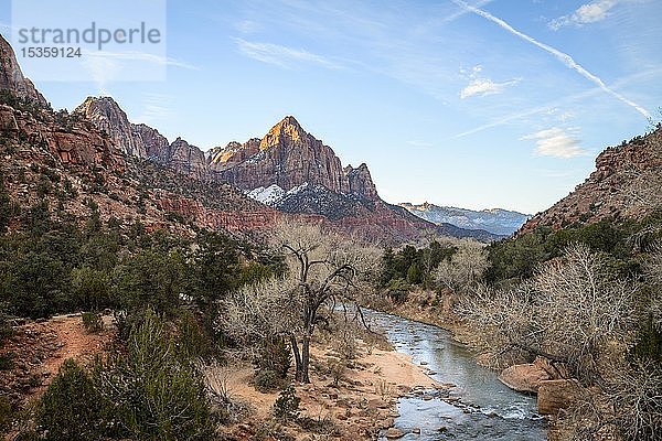 Fluss Virgin River fließt durch den Zion Canyon  links der Berg Bridge Mountain  Canyon Junction Bridge  Zion National Park  Utah  USA  Nordamerika