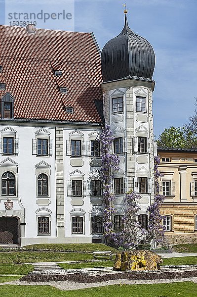 Schloss Maxlrain bei Tuntenhausen  Oberbayern  Bayern  Deutschland  Europa