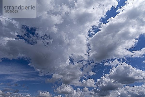 Regenwolken (Nimbostratus)  Bayern  Deutschland  Europa