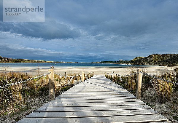 Uferpromenade zum Strand  Lake Taharoa  Northland  Nordinsel  Neuseeland  Ozeanien