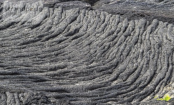 Pahoehoe-Lava-Strukturen  Insel Isabela  Galapagos-Inseln  Ecuador  Südamerika