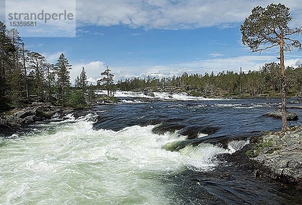 Stromschnellen Trollforsen im Fluss Piteälven  Moskosel  Arvidsjaur  Lappland  Schweden  Europa