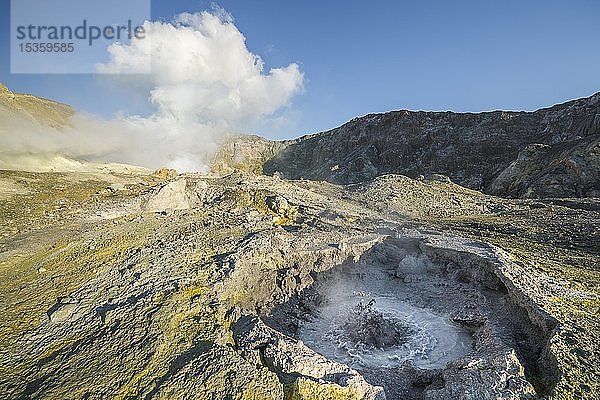 Geysir und Fumarolen auf der Vulkaninsel White Island  Whakaari  Vulkaninsel  Bay of Plenty  Nordinsel  Neuseeland  Ozeanien