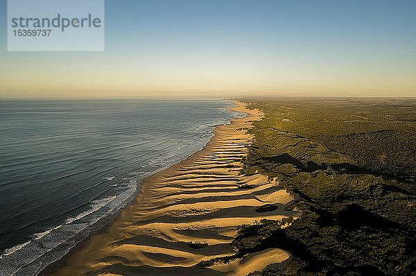 Luftaufnahme  lange Küste entlang Sanddünen  Wild Coast  Indischer Ozean  Amathole  Ostkap  Südafrika  Afrika