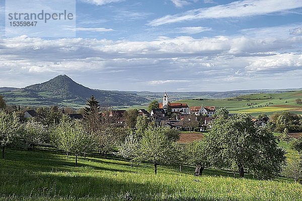 Streuobstwiese mit Dorf Weiterdingen im Hegau  im Hintergrund Hegau-Vulkan Hohenhewen  Baden-Württemberg  Deutschland  Europa