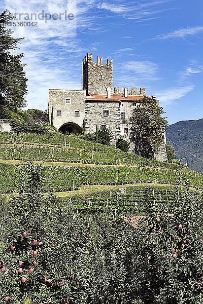 Schloss Hochnaturns oberhalb von Naturns  Festung aus dem 13. Jahrhundert  romanischer Wohnturm  Vinschgau  Südtirol  Italien  Europa
