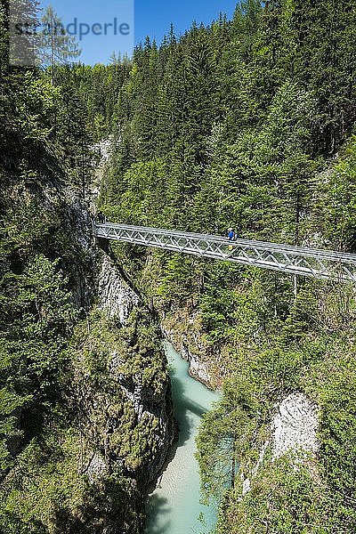 Brücke über die Leutaschklamm  bei Mittenwald  Bayern  Deutschland  Europa