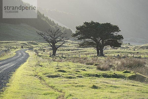 East Cape Gravel Road  Bezirk Gisborne  Nordinsel  Neuseeland  Ozeanien