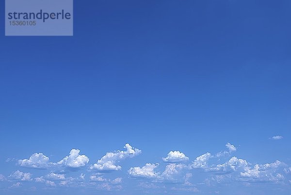 Schönwetterwolken (Cumulus humilis) am Horizont  Bayern  Deutschland  Europa