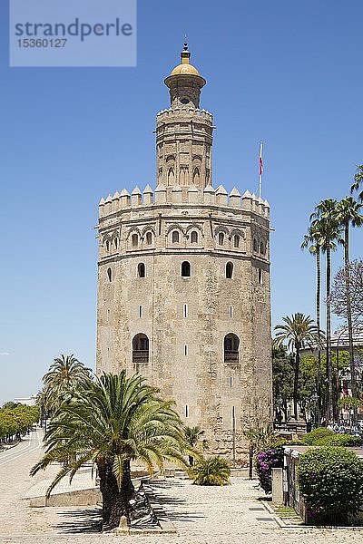 Goldturm  Torre del Oro  Sevilla  Andalusien  Spanien  Europa