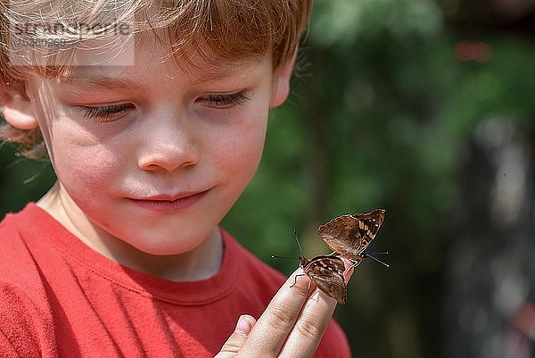Kleiner Junge mit Schmetterlingen auf der Hand  Puerto Iguazu  Argentinien  Südamerika