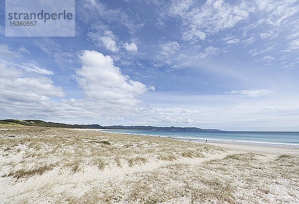 Langer Sandstrand Rarawa Beach  Far North District  Northland  Nordinsel  Neuseeland  Ozeanien