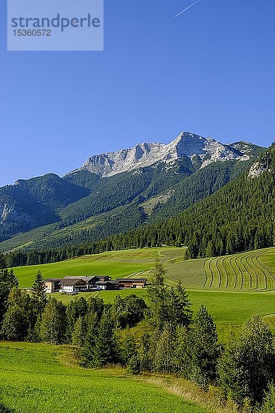Steinberg am Rofan  Guffert im Hintergrund  Tirol  Österreich  Europa
