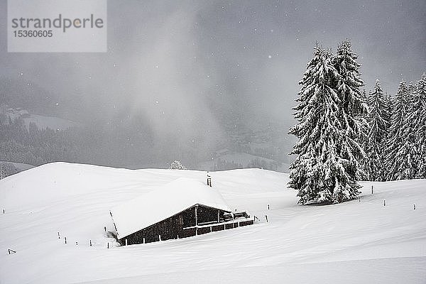 Eingeschneite Berghütte an einem Hang mit Schneefall  Hochbrixen  Brixen im Thale  Tirol  Österreich  Europa