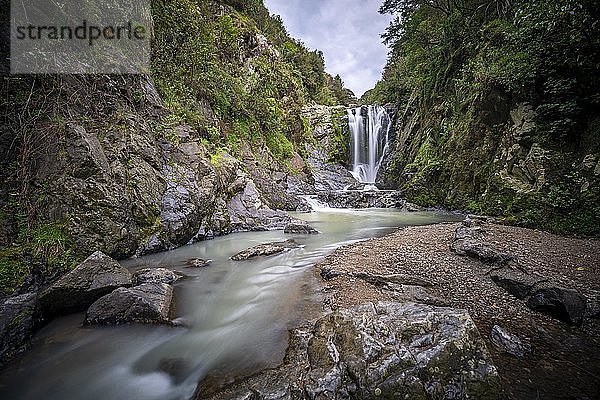Piroa-Wasserfall  Maungaturoto  Northland  Nordinsel  Neuseeland  Ozeanien