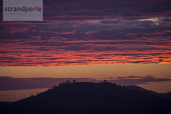 Sonnenuntergang  Abendhimmel mit roten Wolken  bei Paguera oder Peguera  Mallorca  Balearen  Spanien  Europa