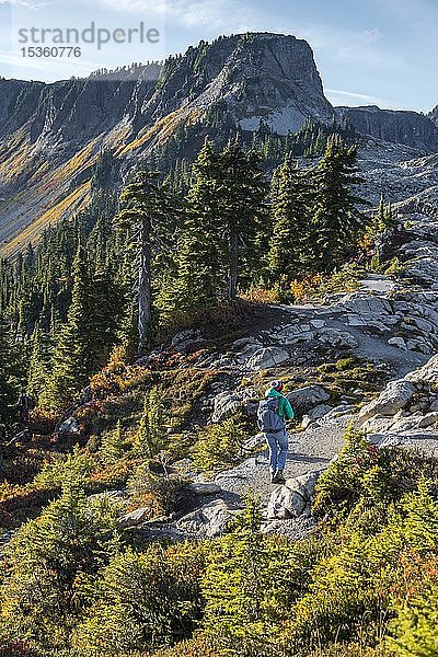 Wanderin auf Wanderweg bei Artist Point  Berglandschaft im Herbst  im Hintergrund der Tabletop Mountain  Mount Baker-Snoqualmie National Forest  Washington  USA  Nordamerika