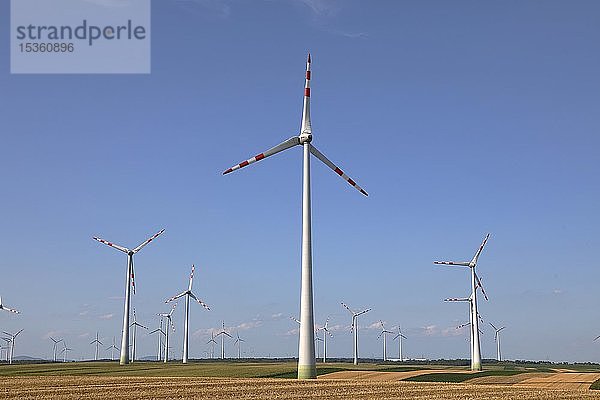 Windkraftanlagen  Windpark zwischen Getreidefeldern  Mönchhof  Burgenland  Österreich  Europa