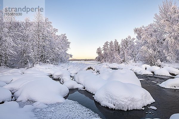 Schneebedeckte Bäume an einem Fluss  Flusslandschaft im Winter  Pallas-Yllästunturi-Nationalpark  Muonio  Lappland  Finnland  Europa