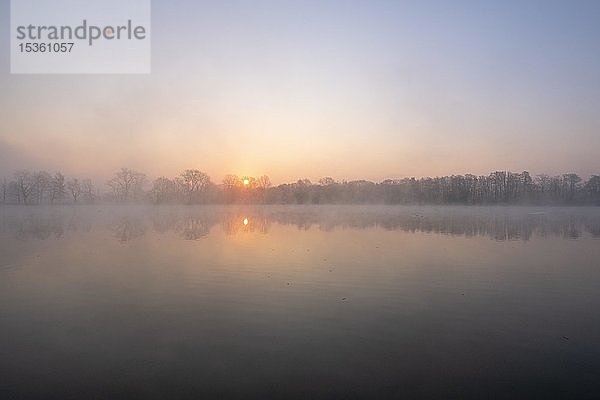 Sonnenaufgang im Nebel an einem Teich  Biosphärenreservat Oberlausitzer Heide und Teichlandschaft  Deutschland  Europa
