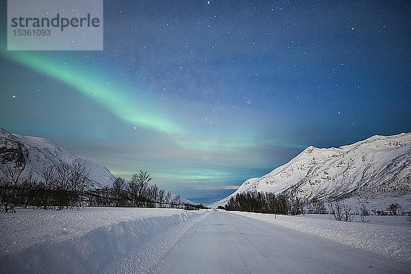 Nordlicht am schneebedeckten Kattfjordpass  Tromso  Norwegen  Europa