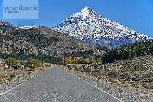 Straße mit schneebedecktem Vulkan Lanin  zwischen San Martin de los Andes und Pucon  Nationalpark Lanin  Patagonien  Argentinien  Südamerika