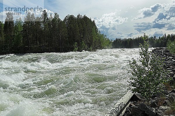 Stromschnellen Storforsen im Fluss Piteälven  Vidsel  Lappland  Schweden  Europa