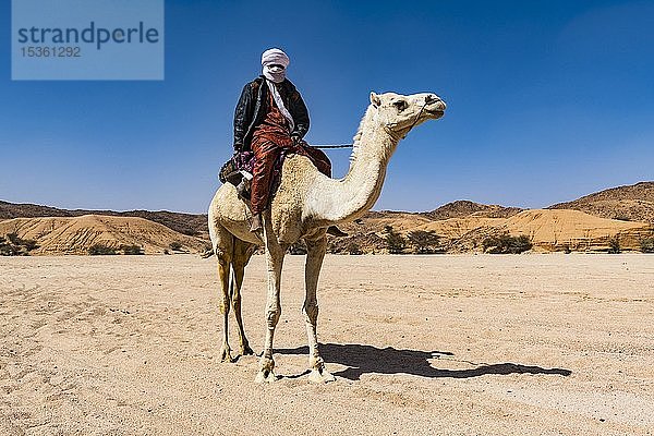 Tuareg reitet auf seinem arabischen Kamel  nahe Tamanrasset  Algerien  Afrika