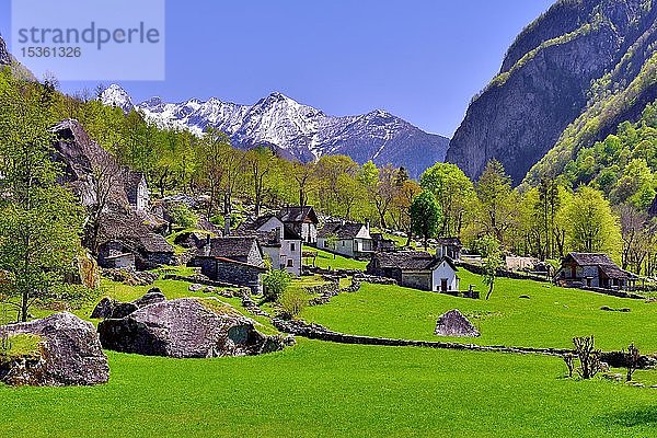 Tessiner Steinhäuser  Bergdorf Sabbione  Val Bavona  Kanton Tessin  Schweiz  Europa