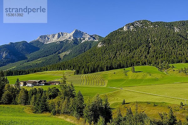 Steinberg am Rofan  Guffert im Hintergrund  Tirol  Österreich  Europa