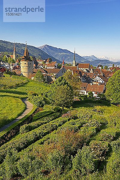 Stadtansicht mit Kapuzinerturm und Kirche  Altstadt  Rigi im Hintergrund  Zug  Kanton Zug  Schweiz  Europa