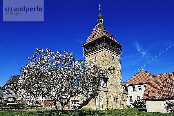 Julius Kühn-Institut für Rebenzüchtung am Geilweilerhof  Siebeldingen  Pfälzer Mandelpfad  Deutsche Weinstraße  Rheinland-Pfalz  Deutschland  Europa