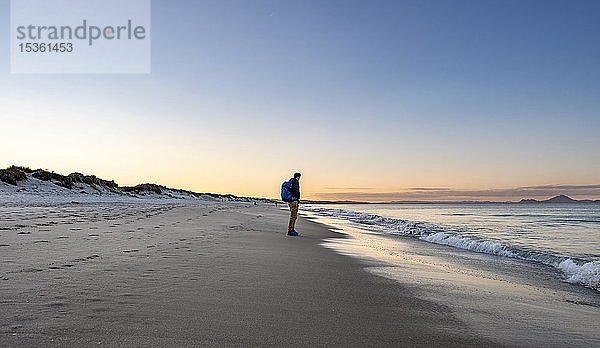 Junger Mann geht am Strand entlang  Strand Waipu Beach bei Sonnenuntergang  Waipu Cove  Northland  Neuseeland  Ozeanien