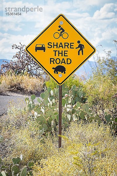 Straßenschild in der Sonora-Wüste  Tucson  Arizona  USA  Nordamerika