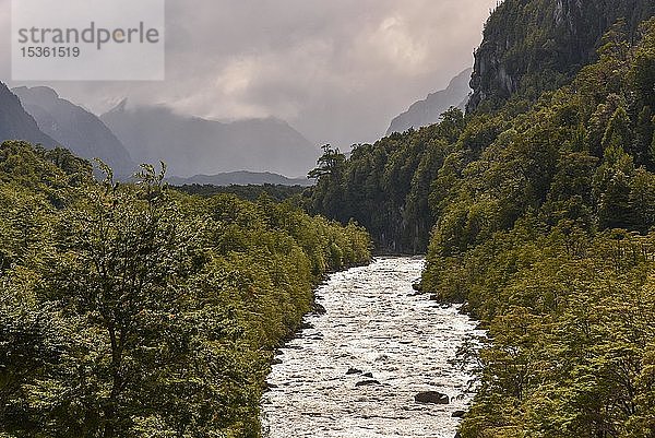 Der Rio Exploradores fließt durch Regenwald bei Puerto Río Tranquilo  Valle Exploradores  Parque Nacional Laguna San Rafael  Patagonien  Chile  Südamerika