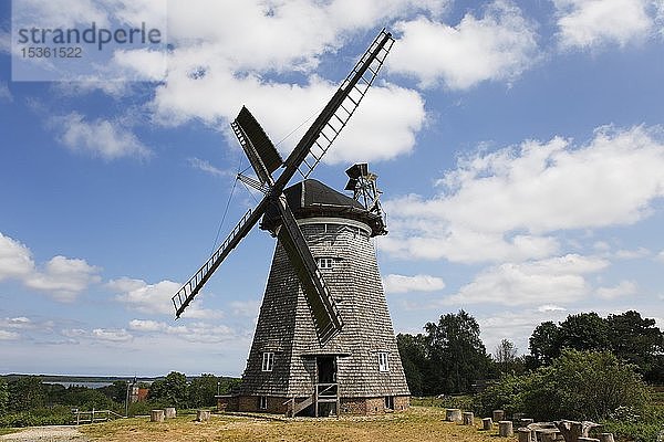 Holländerwindmühle in Benz  Insel Usedom  Mecklenburg-Vorpommern  Deutschland  Europa