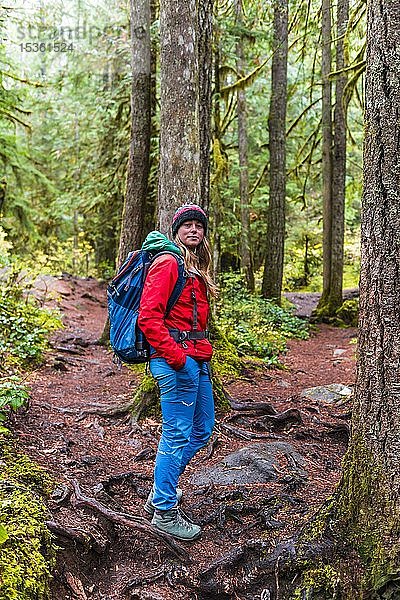 Wanderer auf Wanderweg im Regenwald  Mount Baker-Snoqualmie National Forest  Washington  USA  Nordamerika