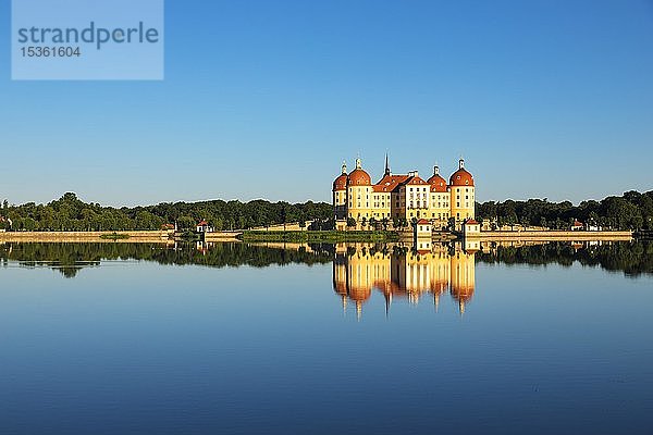 Schloss Moritzburg  Wasserspiegelung im See  Sachsen  Deutschland  Europa
