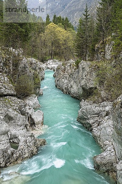 Smaragdgrüner Wildfluss Soca fließt durch enge Schlucht  Soca-Tal  Triglav-Nationalpark  Bovec  Slowenien  Europa