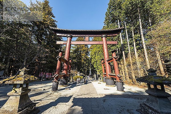 Großes Torii-Tor  Kitaguchi-hongu Fuji-Singing-Schrein  Shinto-Schrein  Fujiyoshida  Präfektur Yamanashi  Japan  Asien