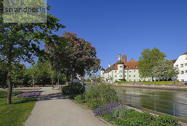 Park auf der Hammerinsel  Heilig-Geist-Spital  Isar  Landshut  Niederbayern  Bayern  Deutschland  Europa