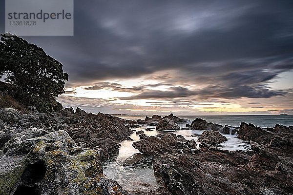 Felsenküste bei Sonnenuntergang  Bay of Plenty  Nordinsel  Neuseeland  Ozeanien