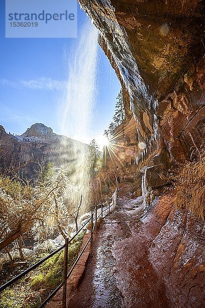 Wasserfall fällt von überhängendem Felsen im Winter  Emerald Pools Trail Wanderweg entlang des Virgin River  Zion National Park  Utah  USA  Nordamerika