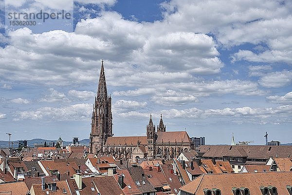 Blick über die Dächer der Altstadt mit Freiburger Münster  Freiburg im Breisgau  Baden-Württemberg  Deutschland  Europa